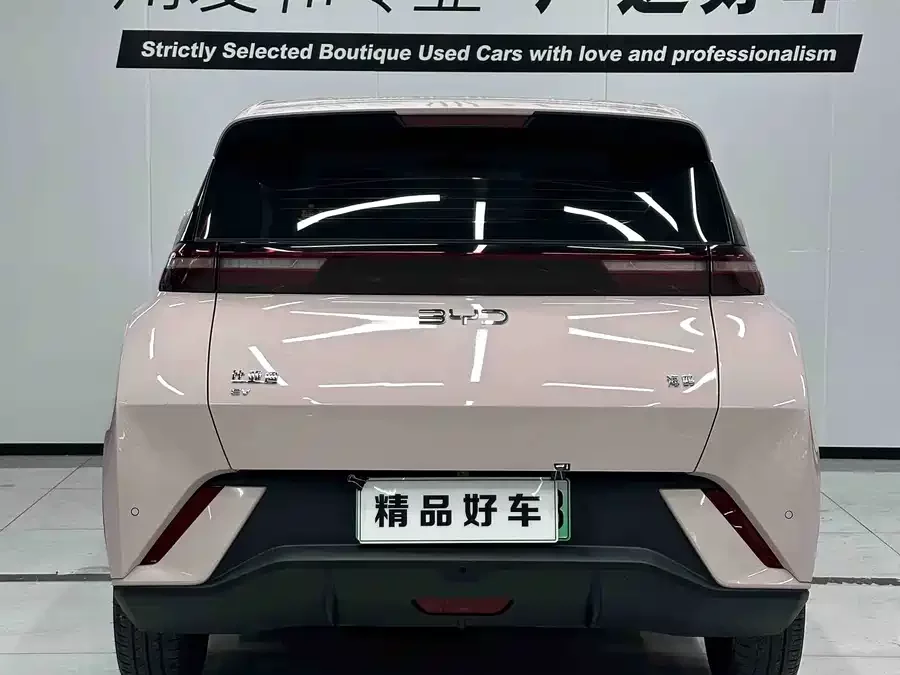 BYD Seagull