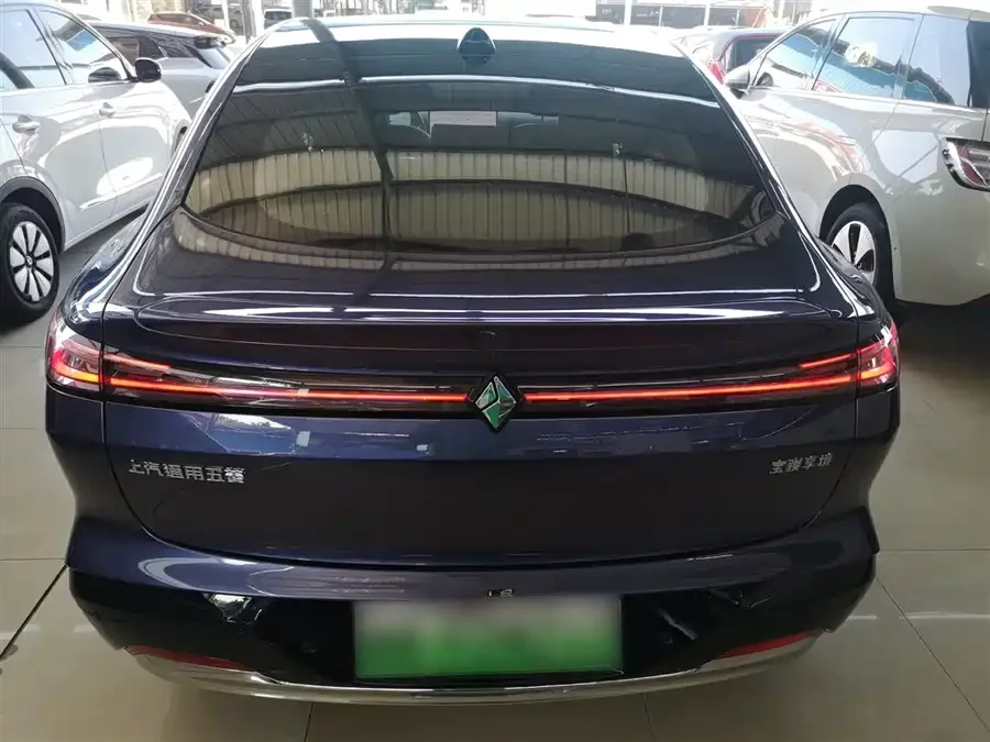 Baojun Enjoy the environment