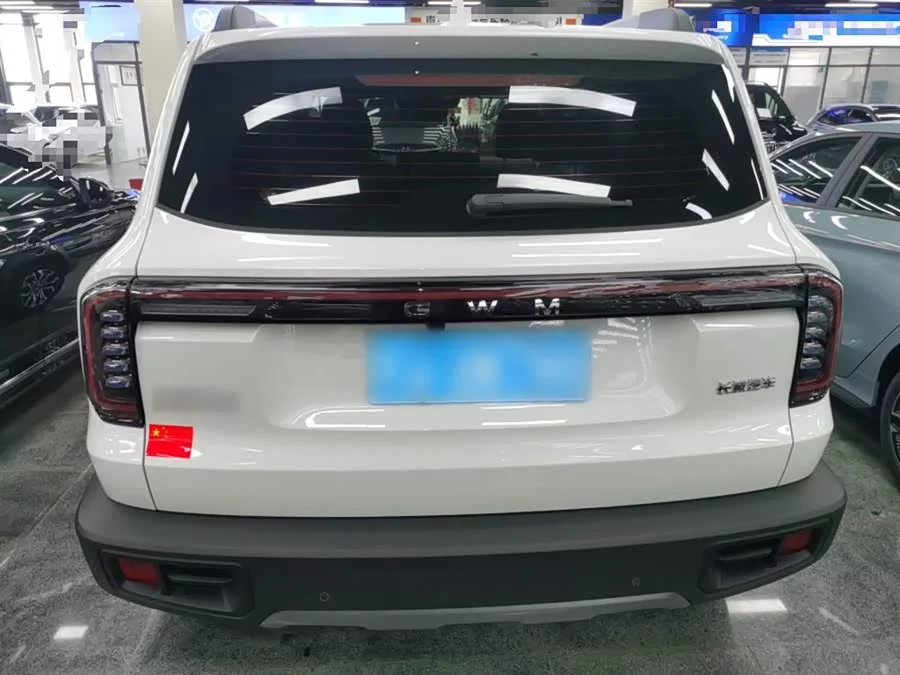 Haval Big Dog DaGou