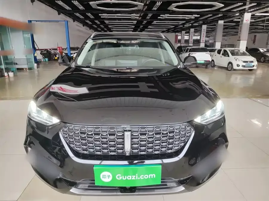 Wey VV6