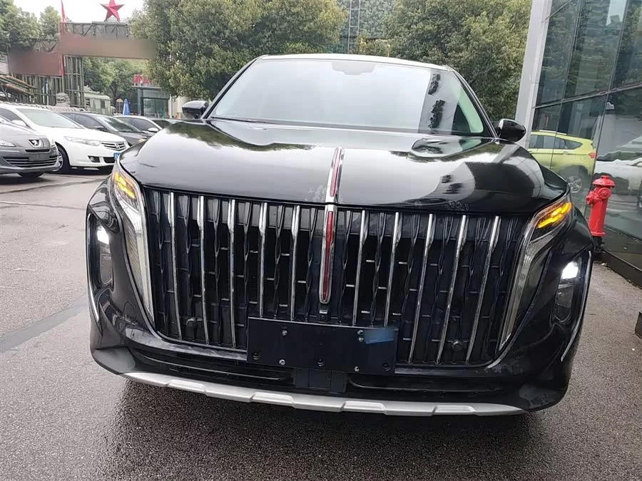 Hongqi HS7