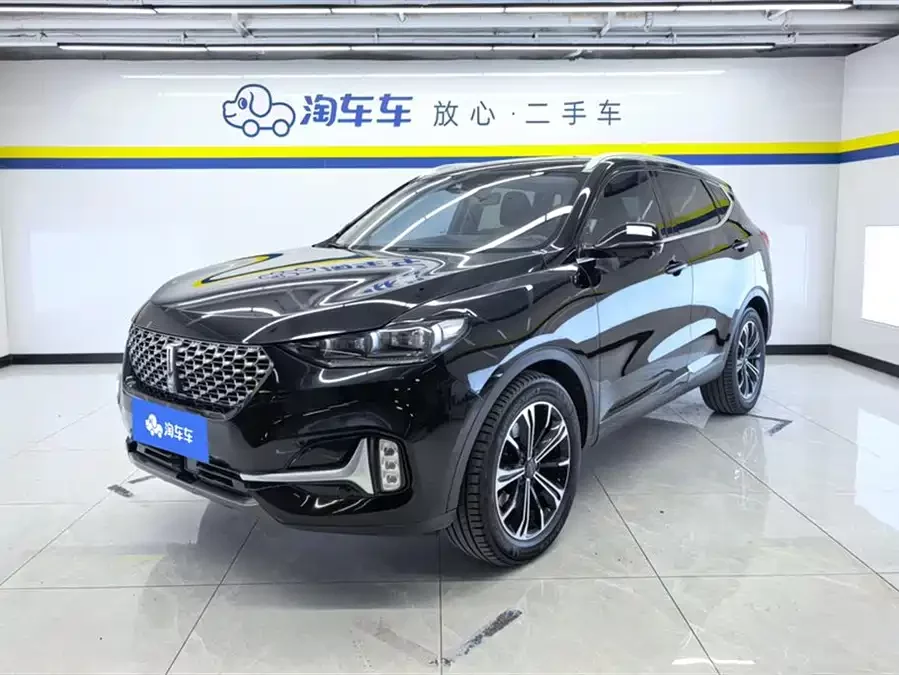 Wey VV6