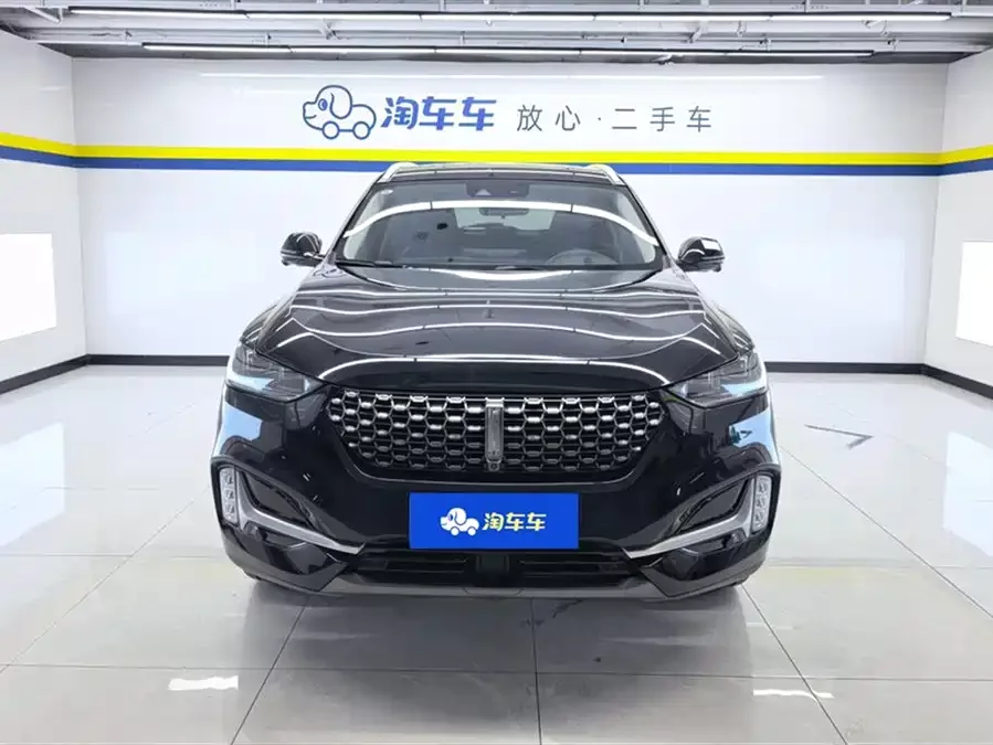Wey VV6