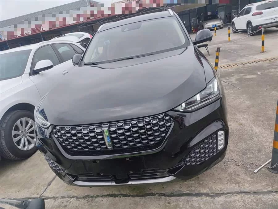 Wey VV6