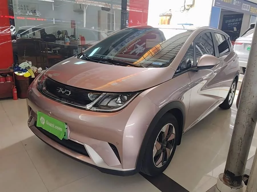 BYD Dolphin