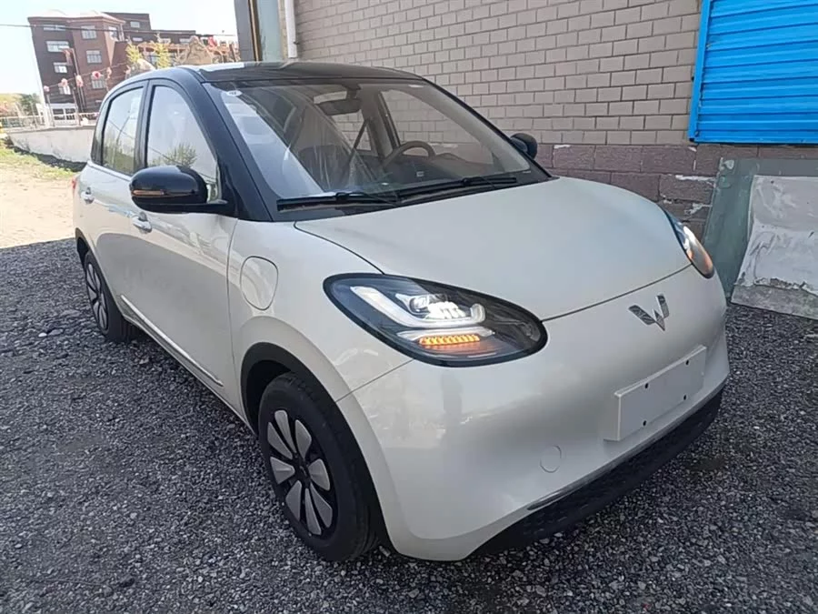 Wuling Bingo