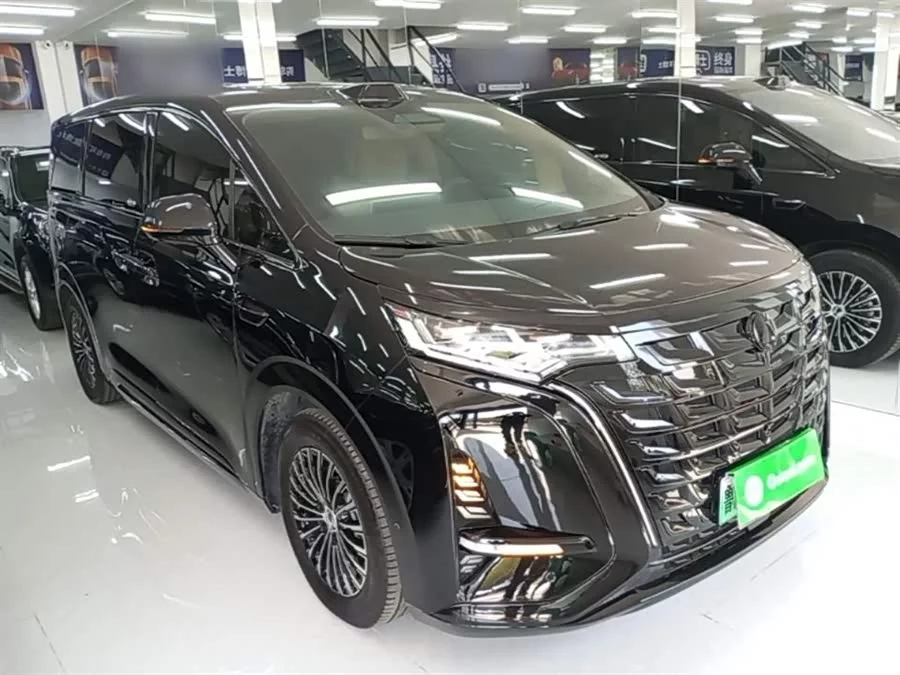BYD D9
