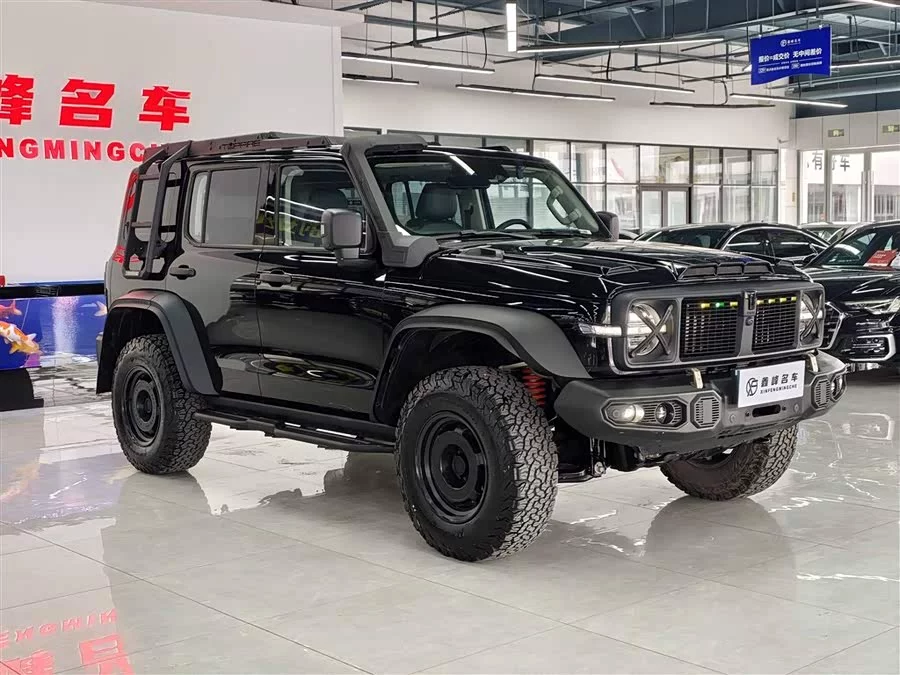 TANK 300