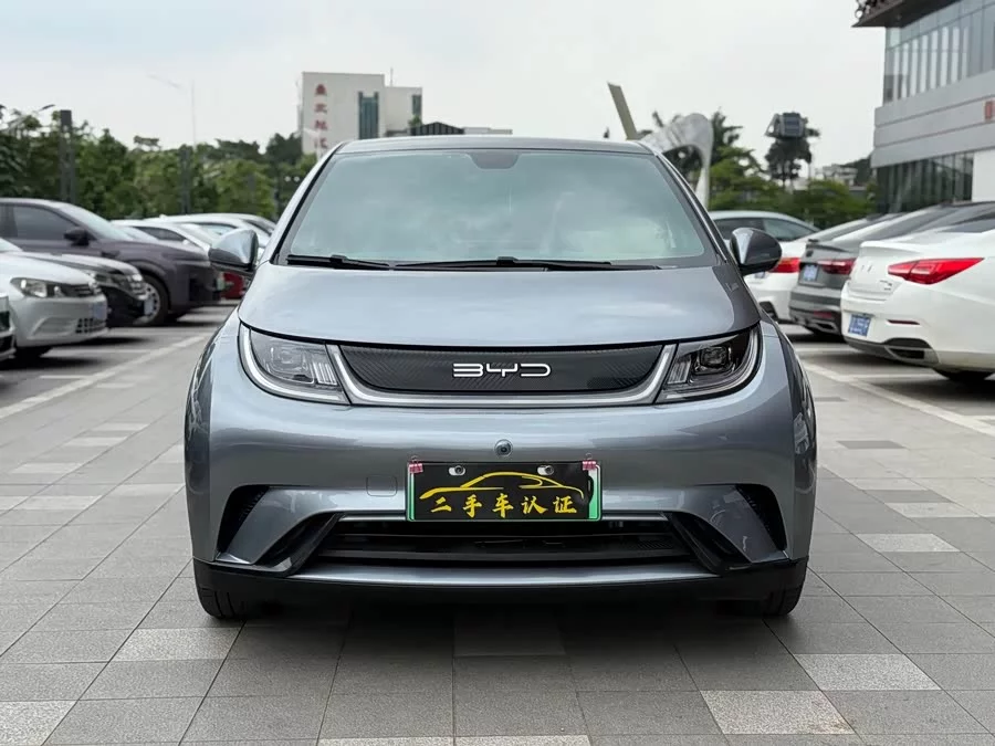 BYD Dolphin