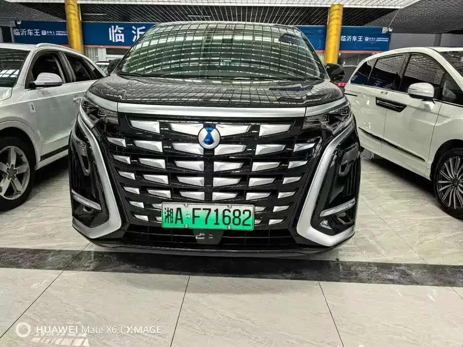 BYD D9