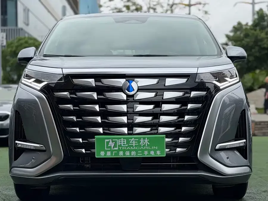 BYD D9