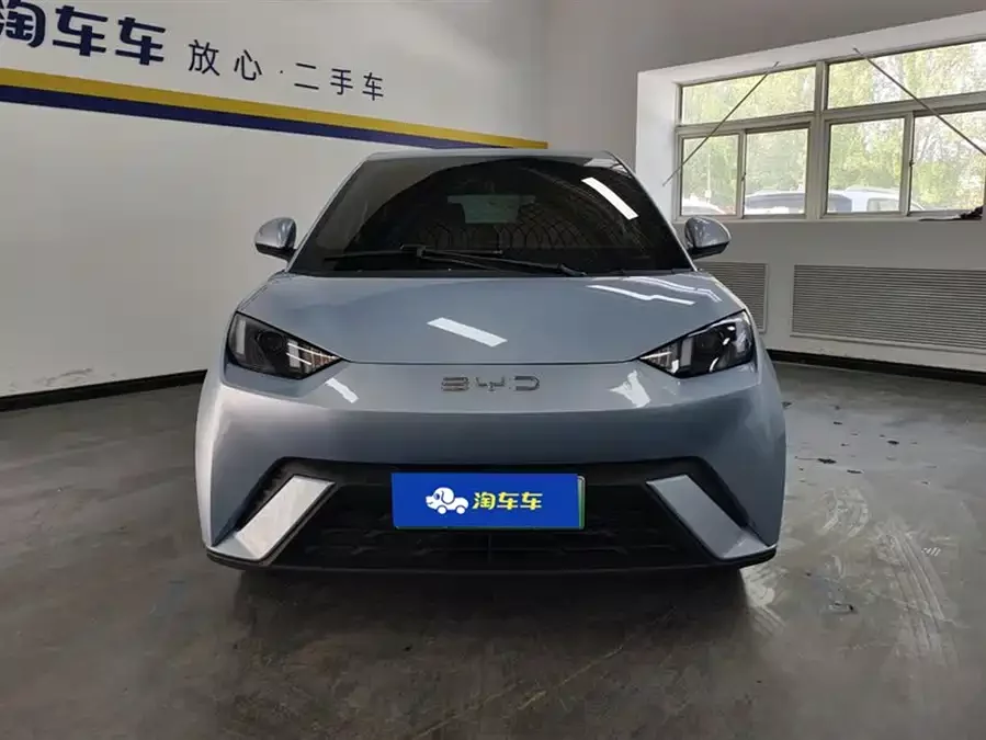 BYD Seagull