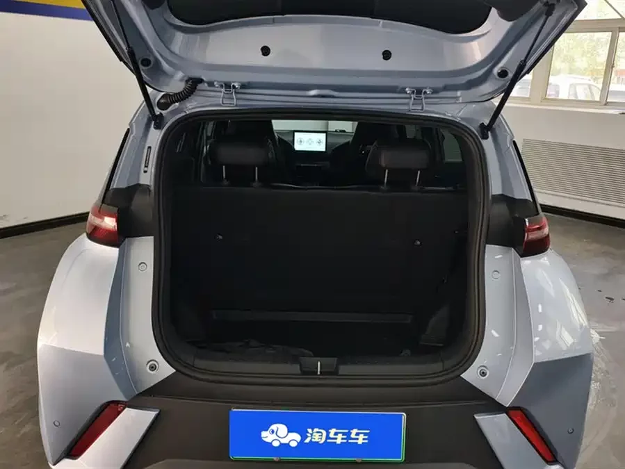 BYD Seagull