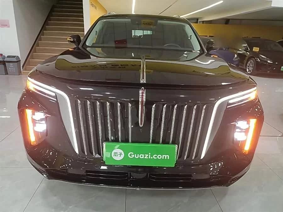 Hongqi E-HS9
