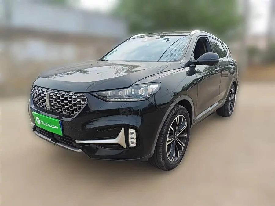Wey VV6