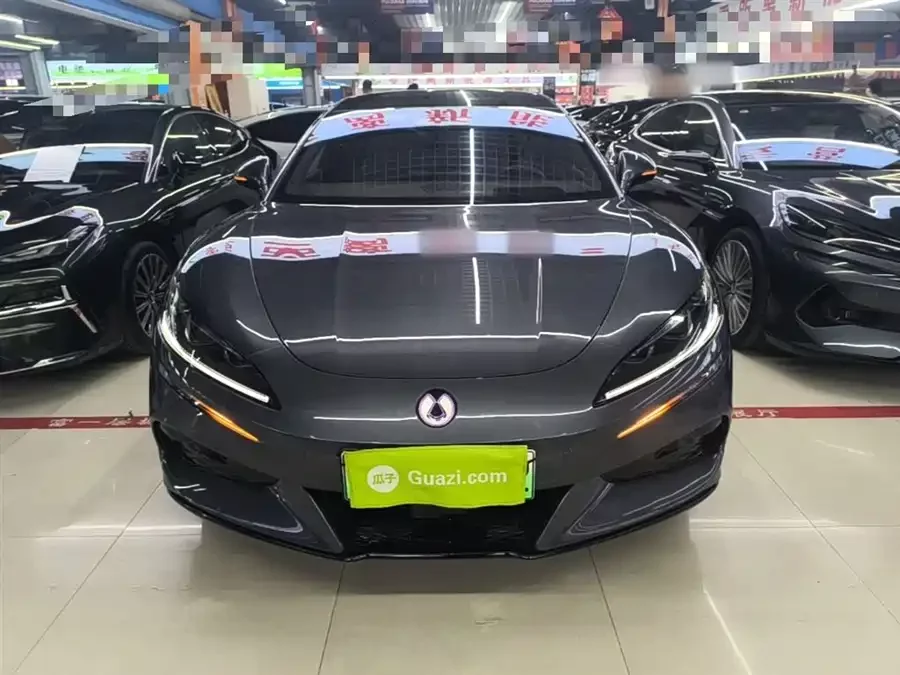 BYD Z9