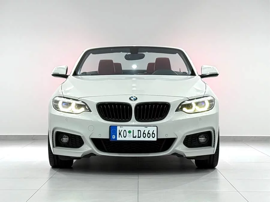 BMW 2 Series