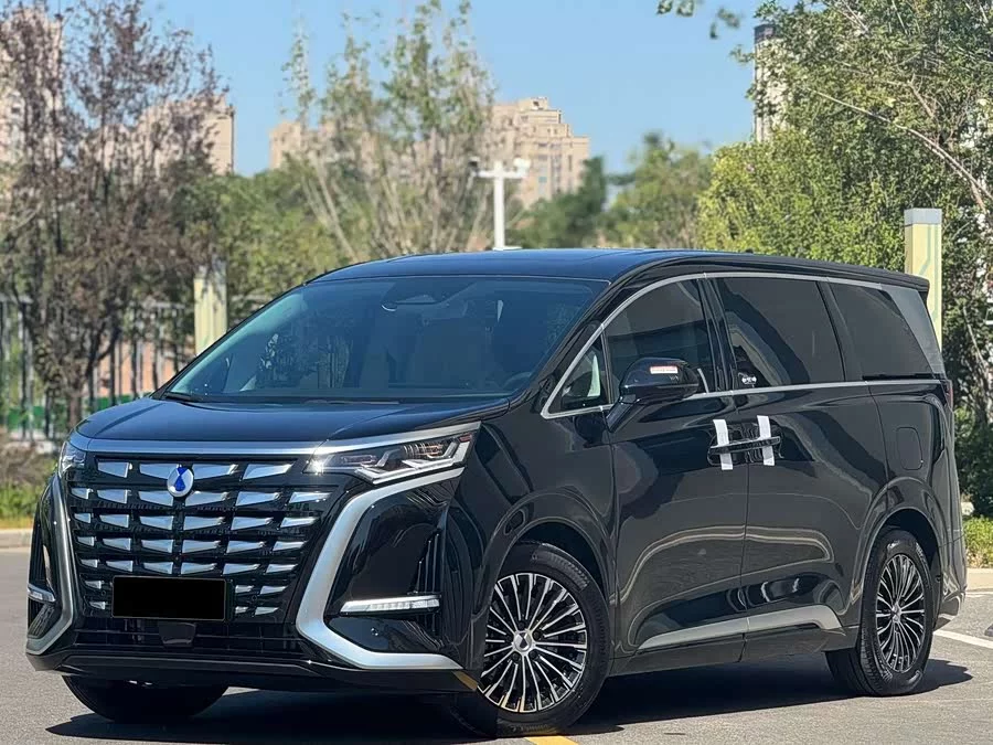 BYD D9