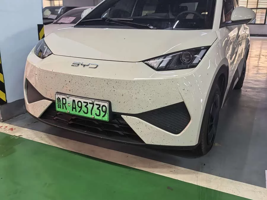 BYD Seagull