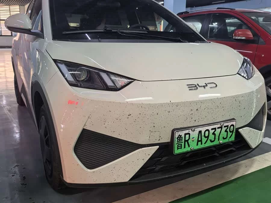 BYD Seagull