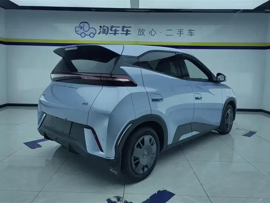 BYD Seagull