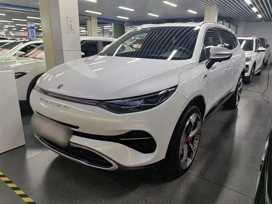 BYD X