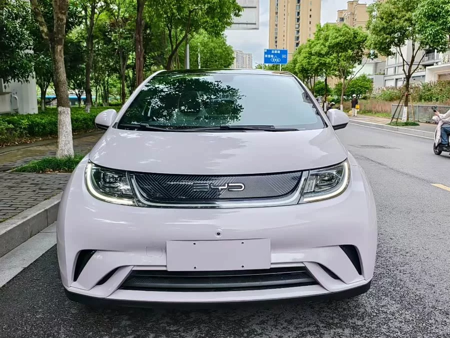 BYD Dolphin