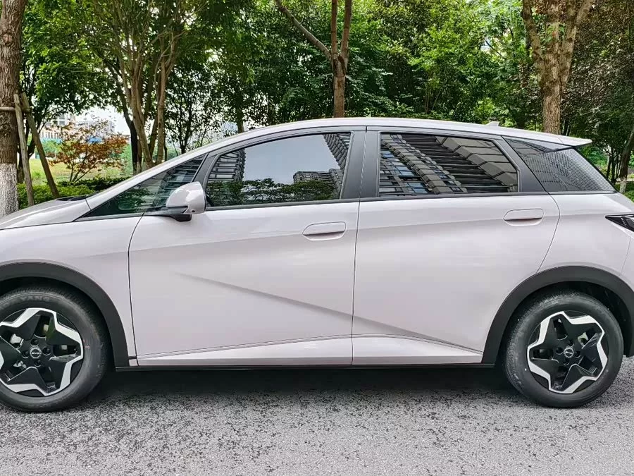 BYD Dolphin