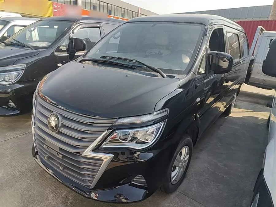 Dongfeng Lingzhi