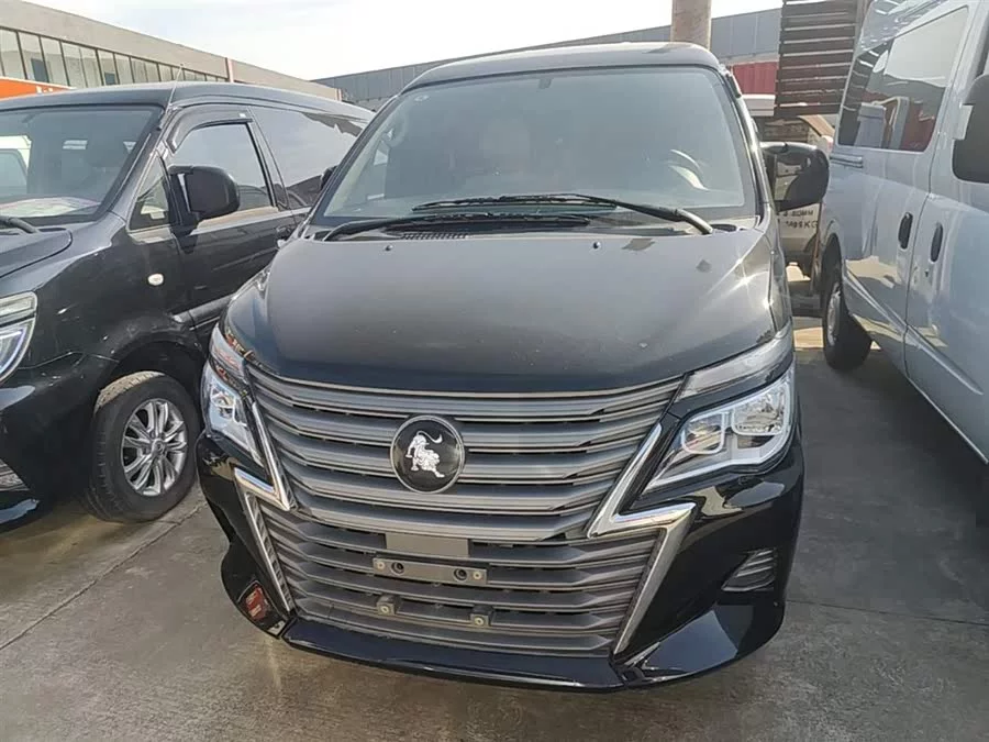 Dongfeng Lingzhi