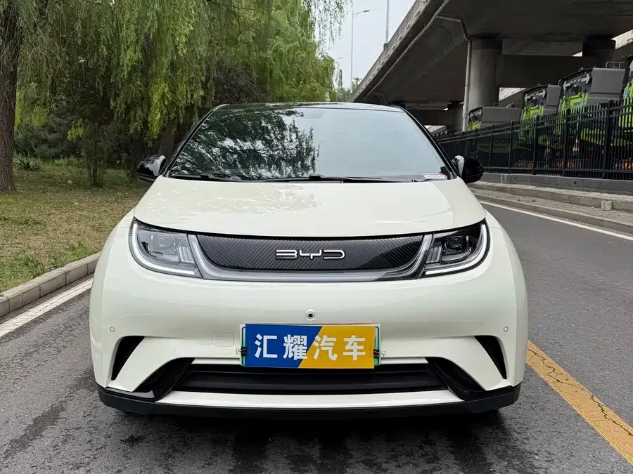 BYD Dolphin