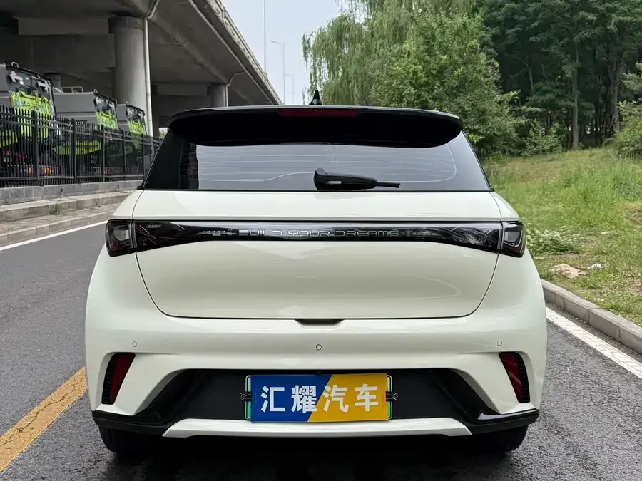 BYD Dolphin