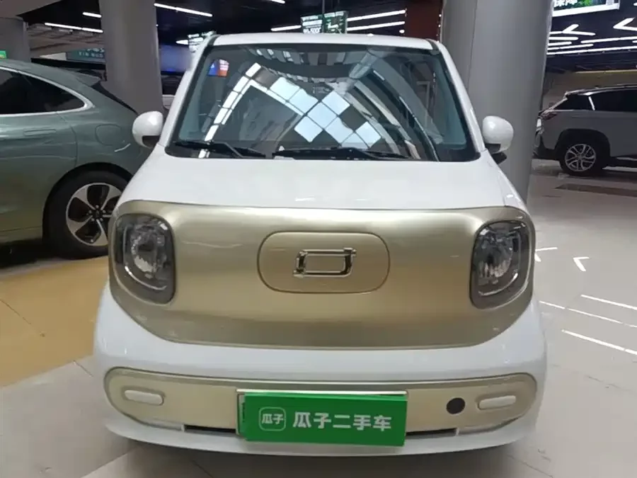 Pentium pony