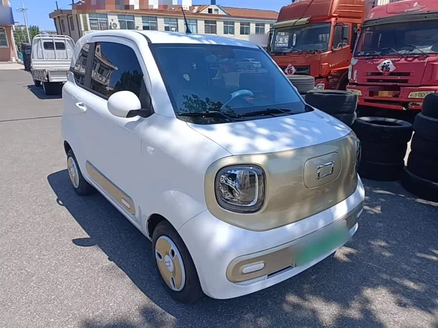 Pentium pony