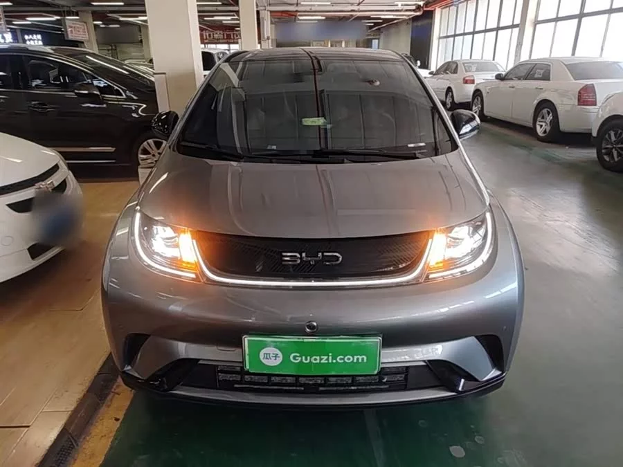 BYD Dolphin