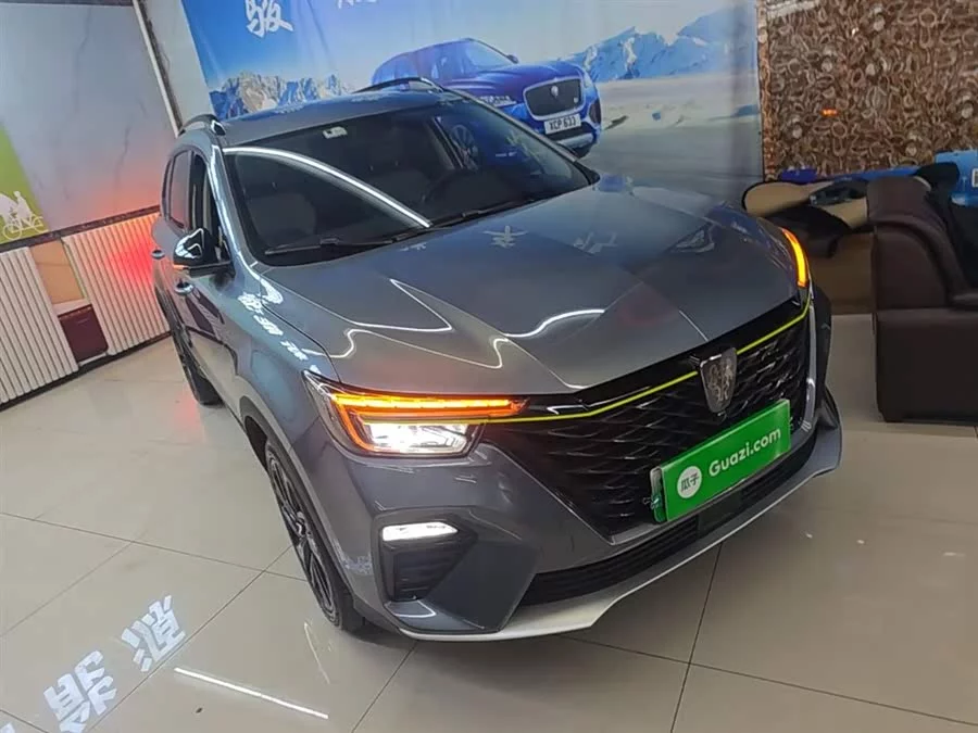 Roewe RX5 New Energy