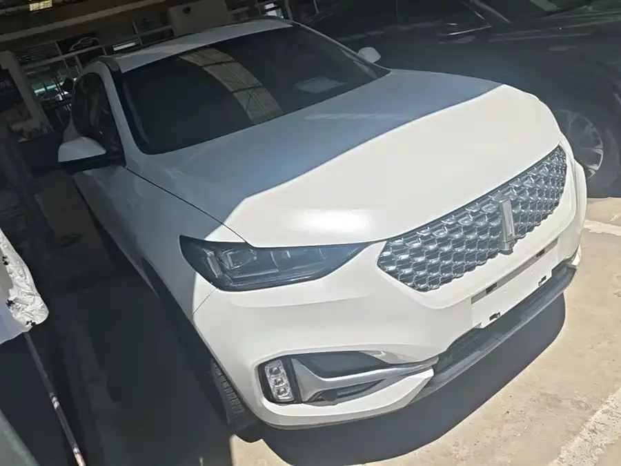 Wey VV6