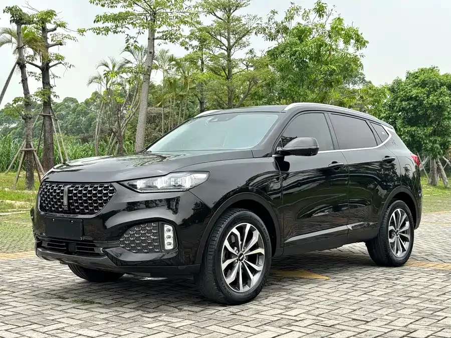 Wey VV6