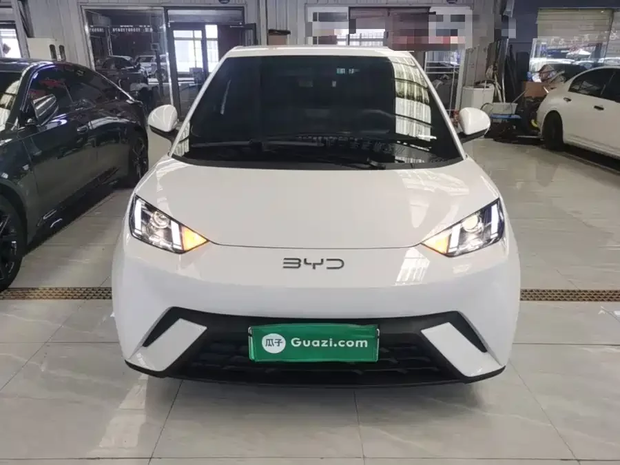 BYD Seagull