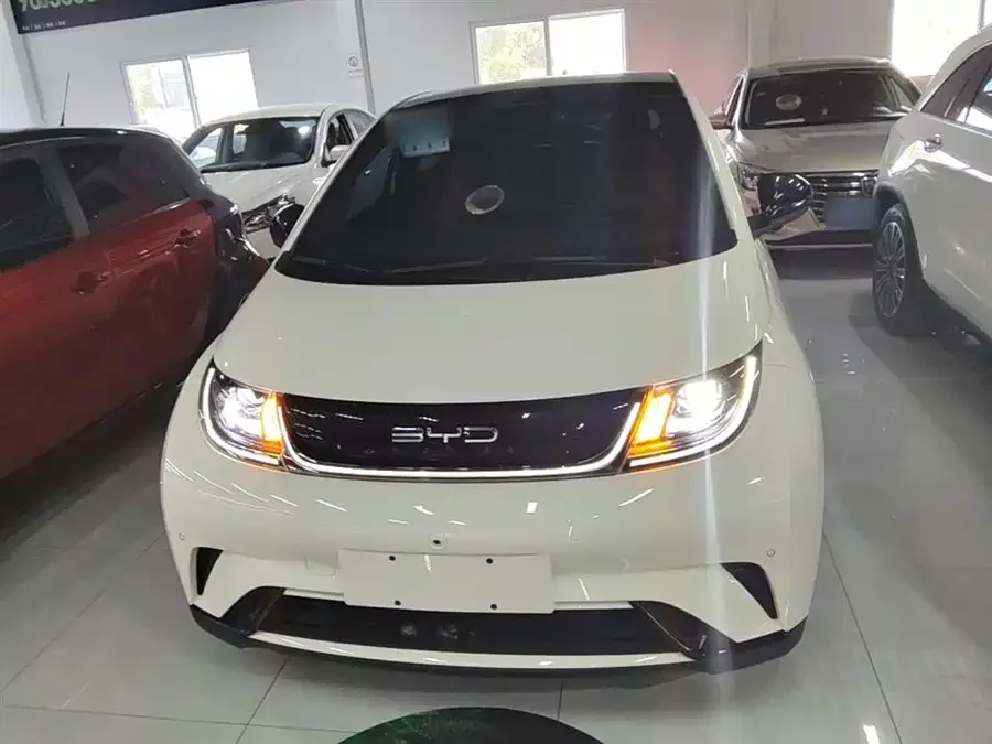BYD Dolphin