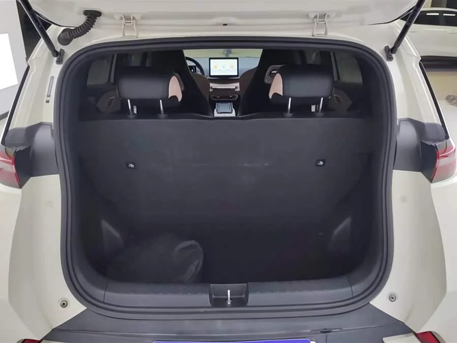 BYD Seagull