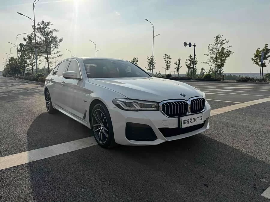 BMW 5 Series New Energy