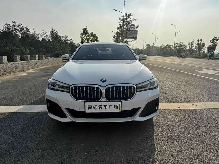 BMW 5 Series New Energy