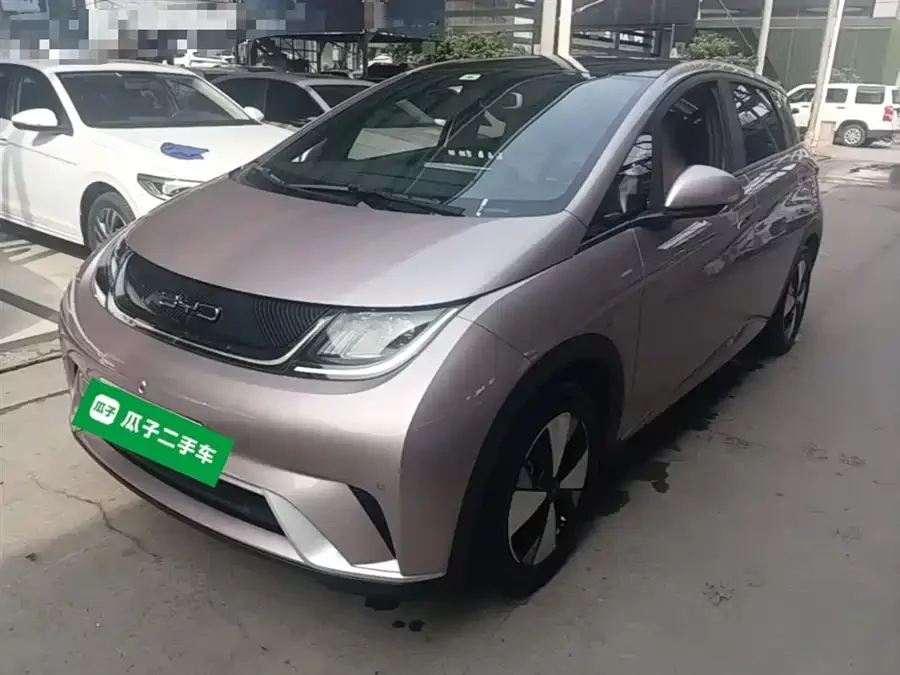 BYD Dolphin