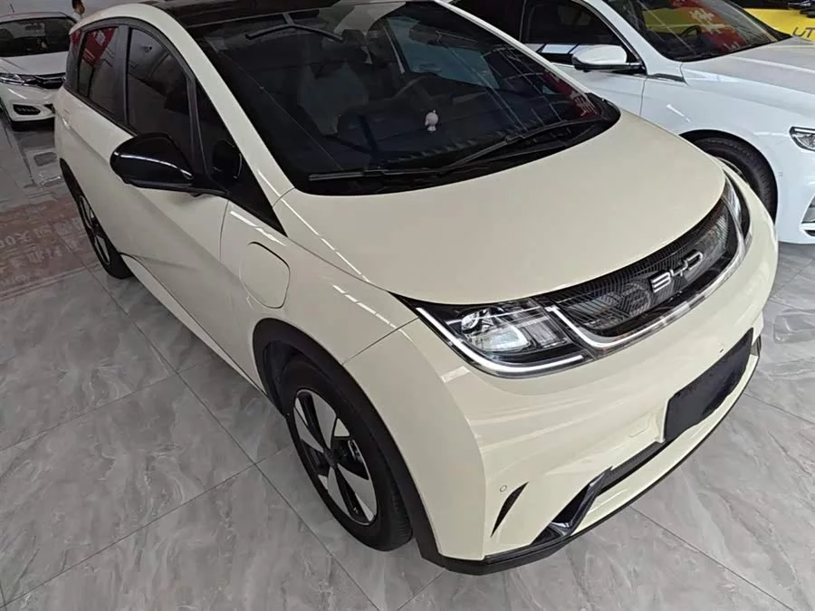 BYD Dolphin