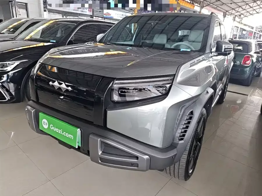 BYD Leopard Titanium 3