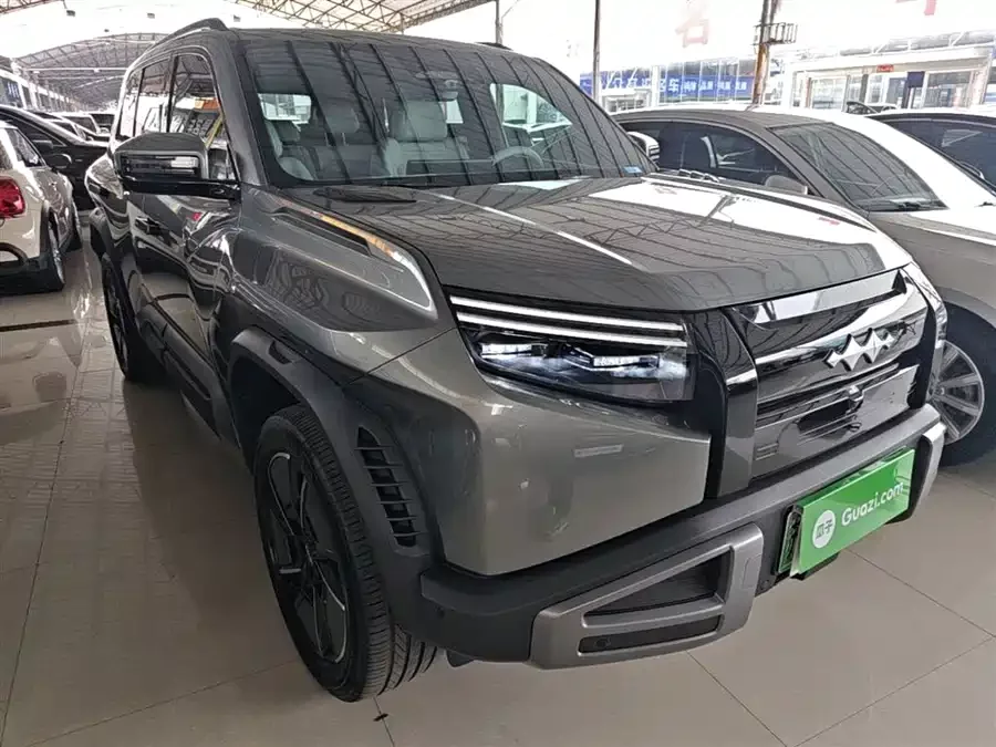 BYD Leopard Titanium 3