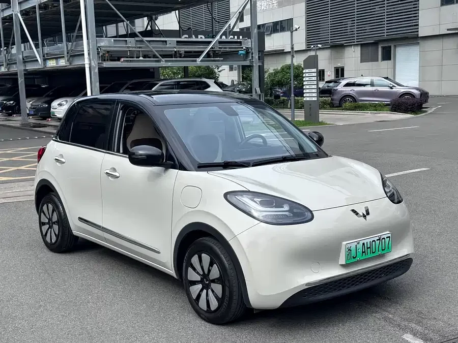 Wuling Bingo