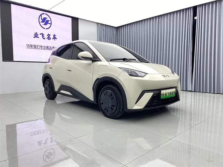 BYD Seagull