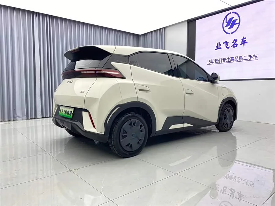 BYD Seagull